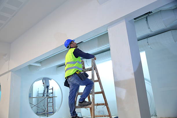 Reliable Dawson, TX Mold Removal Solutions